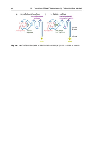 Fig. 13.1 (a) Glucose reabsorption in normal conditions and (b) glucose excretion in diabetes
60 13 Estimation of Blood Glucose Levels by Glucose Oxidase Method
 