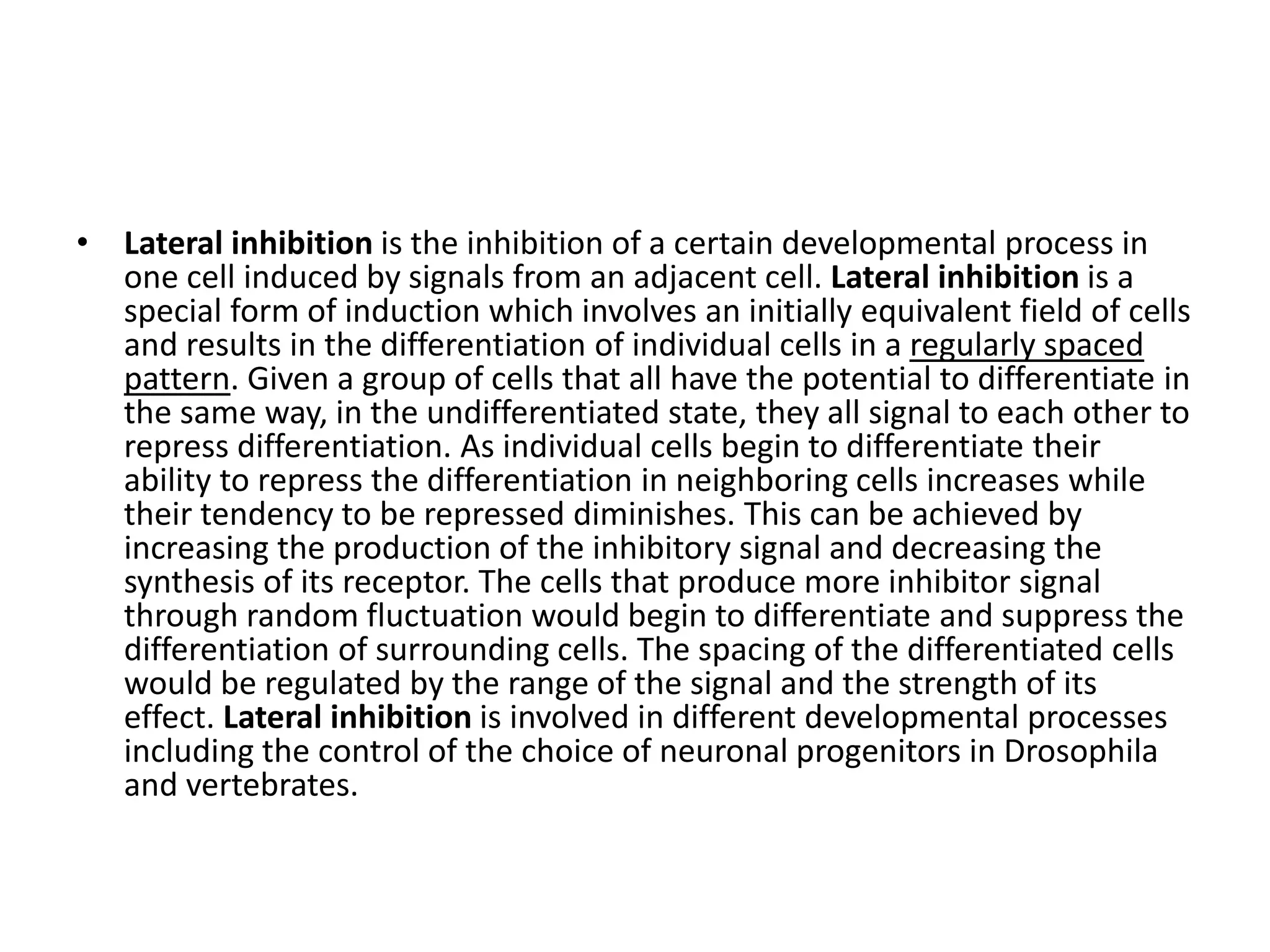 • Lateral inhibition is the inhibition of a certain developmental process in
one cell induced by signals from an adjacent cell. Lateral inhibition is a
special form of induction which involves an initially equivalent field of cells
and results in the differentiation of individual cells in a regularly spaced
pattern. Given a group of cells that all have the potential to differentiate in
the same way, in the undifferentiated state, they all signal to each other to
repress differentiation. As individual cells begin to differentiate their
ability to repress the differentiation in neighboring cells increases while
their tendency to be repressed diminishes. This can be achieved by
increasing the production of the inhibitory signal and decreasing the
synthesis of its receptor. The cells that produce more inhibitor signal
through random fluctuation would begin to differentiate and suppress the
differentiation of surrounding cells. The spacing of the differentiated cells
would be regulated by the range of the signal and the strength of its
effect. Lateral inhibition is involved in different developmental processes
including the control of the choice of neuronal progenitors in Drosophila
and vertebrates.
 