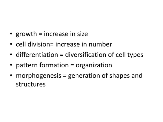 Basic Concepts In Developmental Biology
