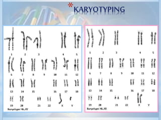 Basic concepts in genetics | PPTX