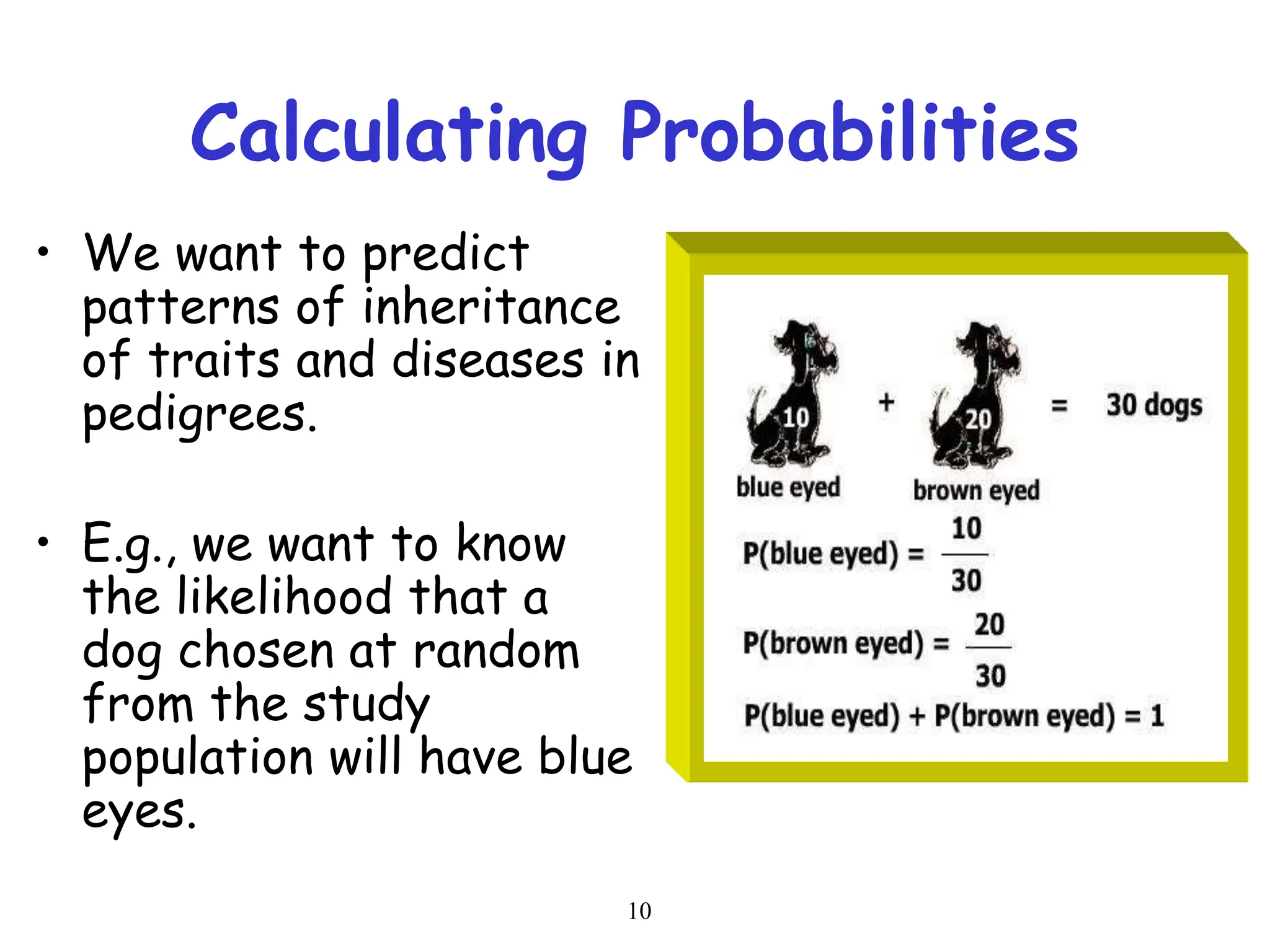 10
Calculating Probabilities
• We want to predict
patterns of inheritance
of traits and diseases in
pedigrees.
• E.g., we want to know
the likelihood that a
dog chosen at random
from the study
population will have blue
eyes.
 