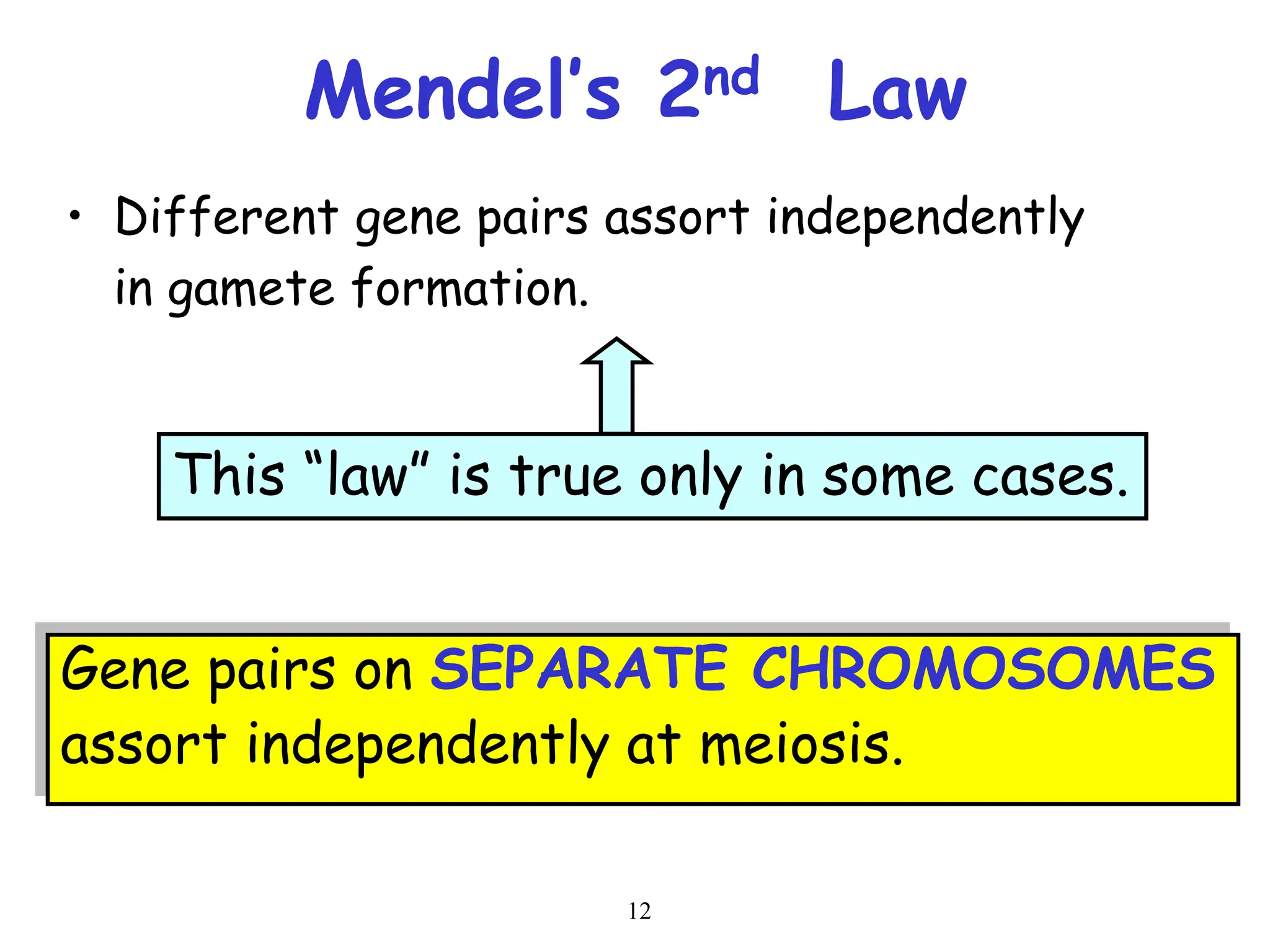 12
Mendel’s 2nd Law
• Different gene pairs assort independently
in gamete formation.
Gene pairs on SEPARATE CHROMOSOMES
assort independently at meiosis.
This “law” is true only in some cases.
 