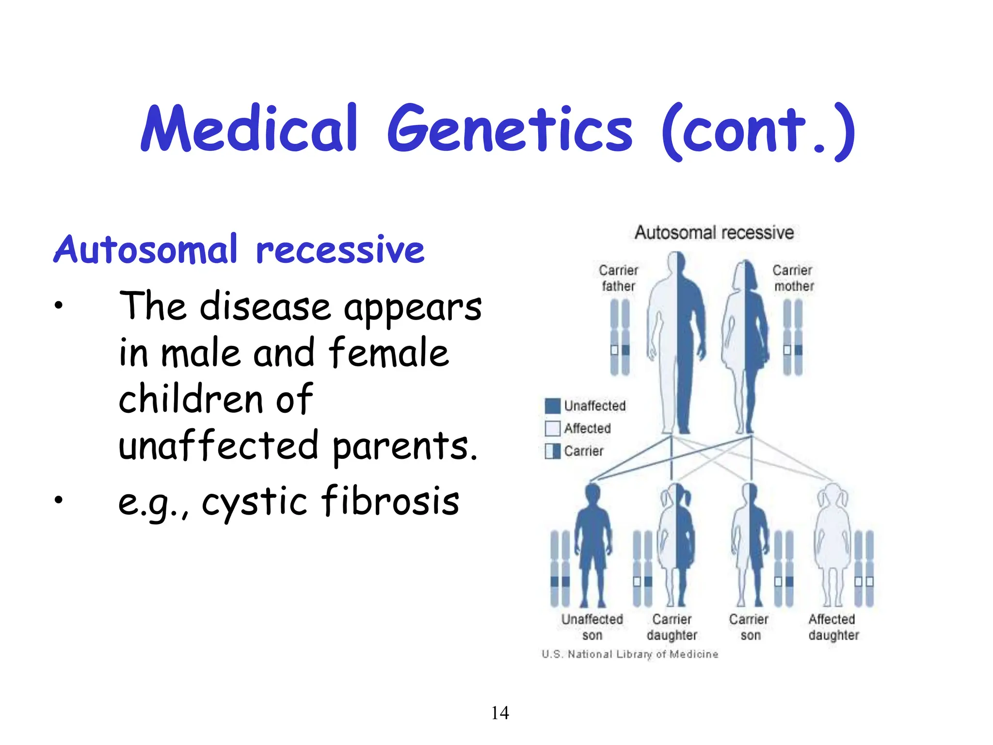 14
Medical Genetics (cont.)
Autosomal recessive
• The disease appears
in male and female
children of
unaffected parents.
• e.g., cystic fibrosis
 