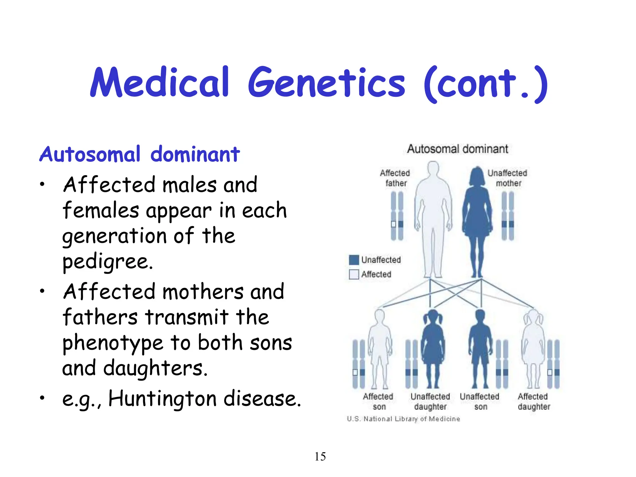 15
Medical Genetics (cont.)
Autosomal dominant
• Affected males and
females appear in each
generation of the
pedigree.
• Affected mothers and
fathers transmit the
phenotype to both sons
and daughters.
• e.g., Huntington disease.
 