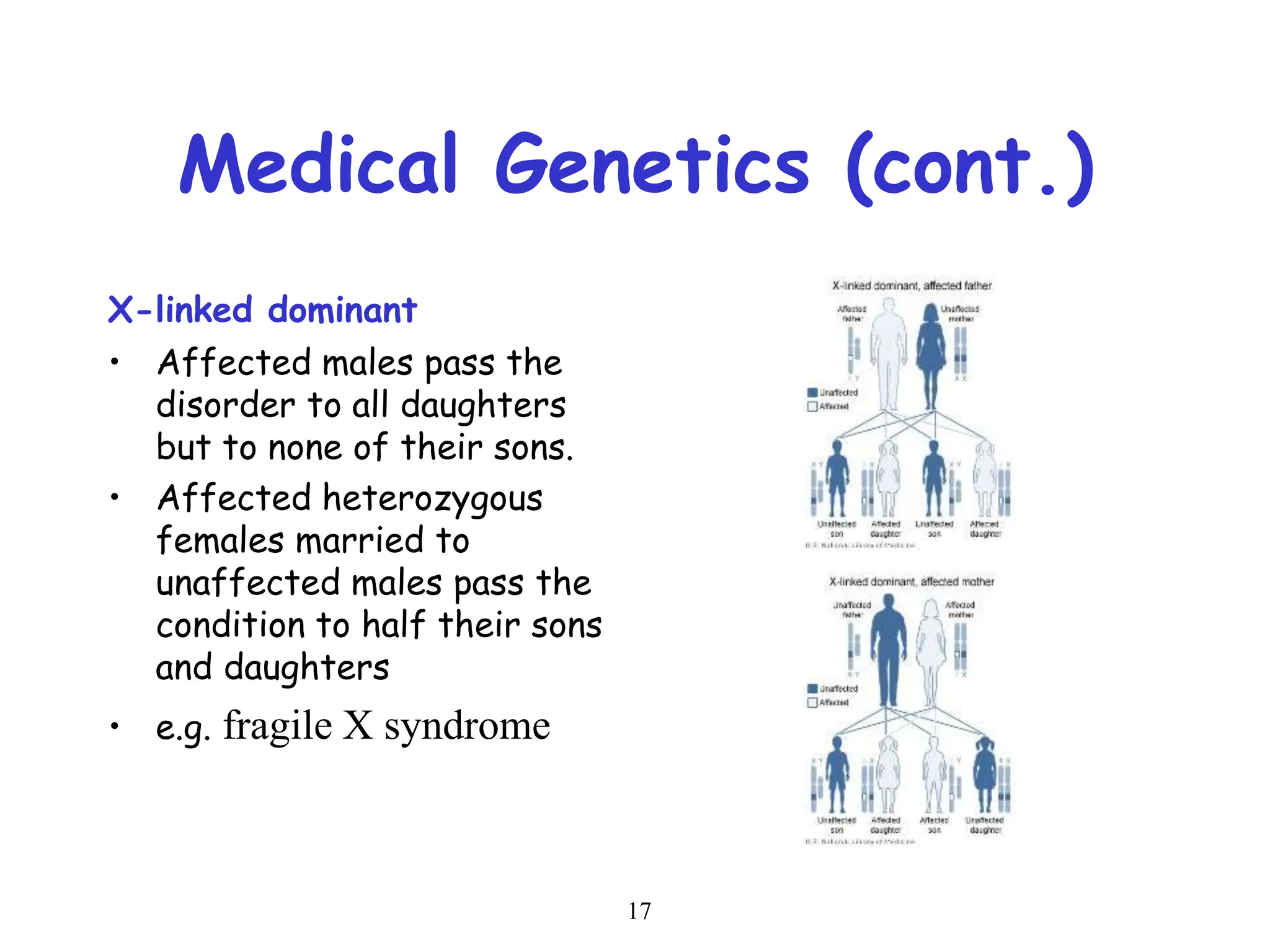 17
Medical Genetics (cont.)
X-linked dominant
• Affected males pass the
disorder to all daughters
but to none of their sons.
• Affected heterozygous
females married to
unaffected males pass the
condition to half their sons
and daughters
• e.g. fragile X syndrome
 