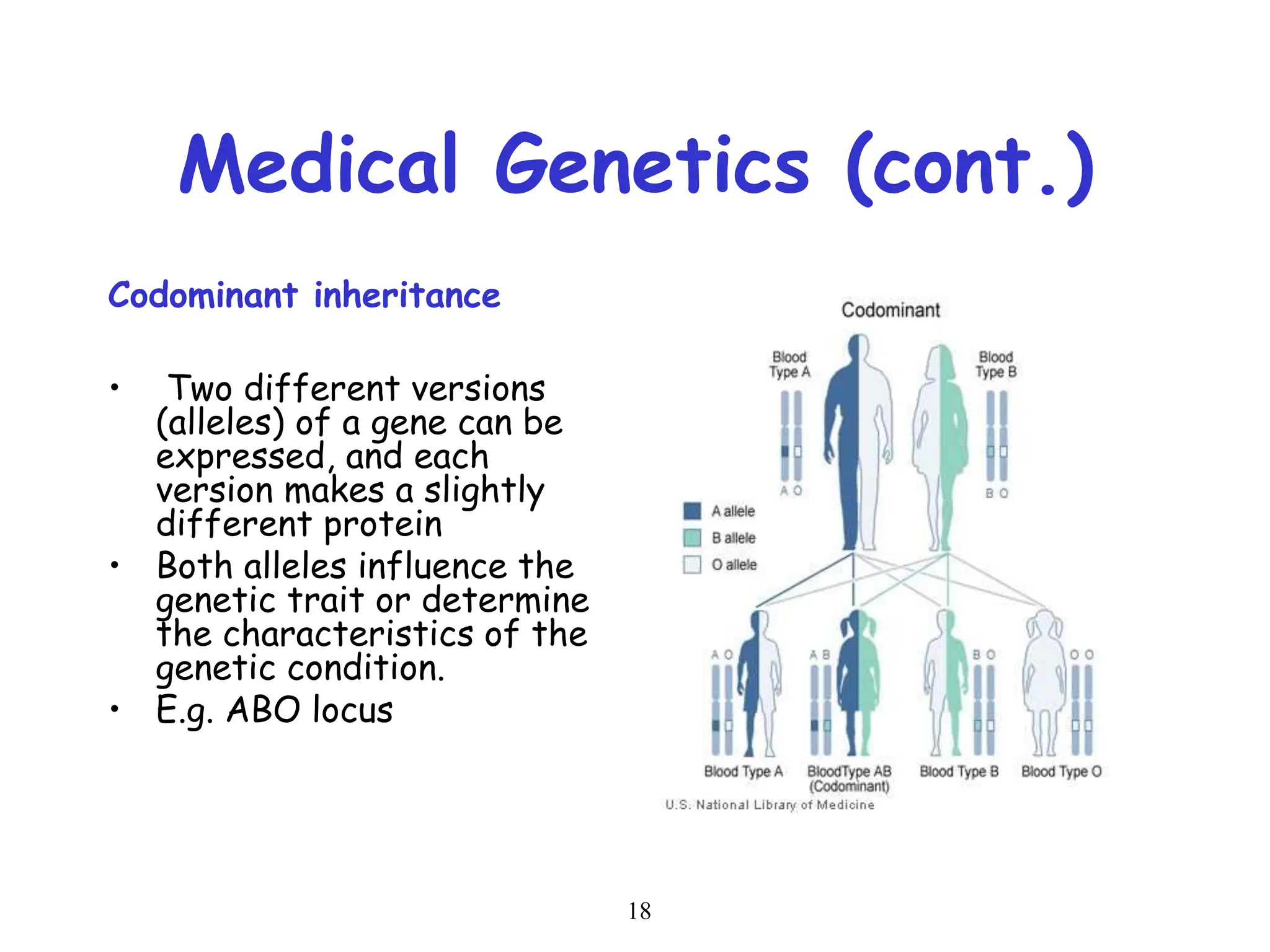 18
Medical Genetics (cont.)
Codominant inheritance
• Two different versions
(alleles) of a gene can be
expressed, and each
version makes a slightly
different protein
• Both alleles influence the
genetic trait or determine
the characteristics of the
genetic condition.
• E.g. ABO locus
 