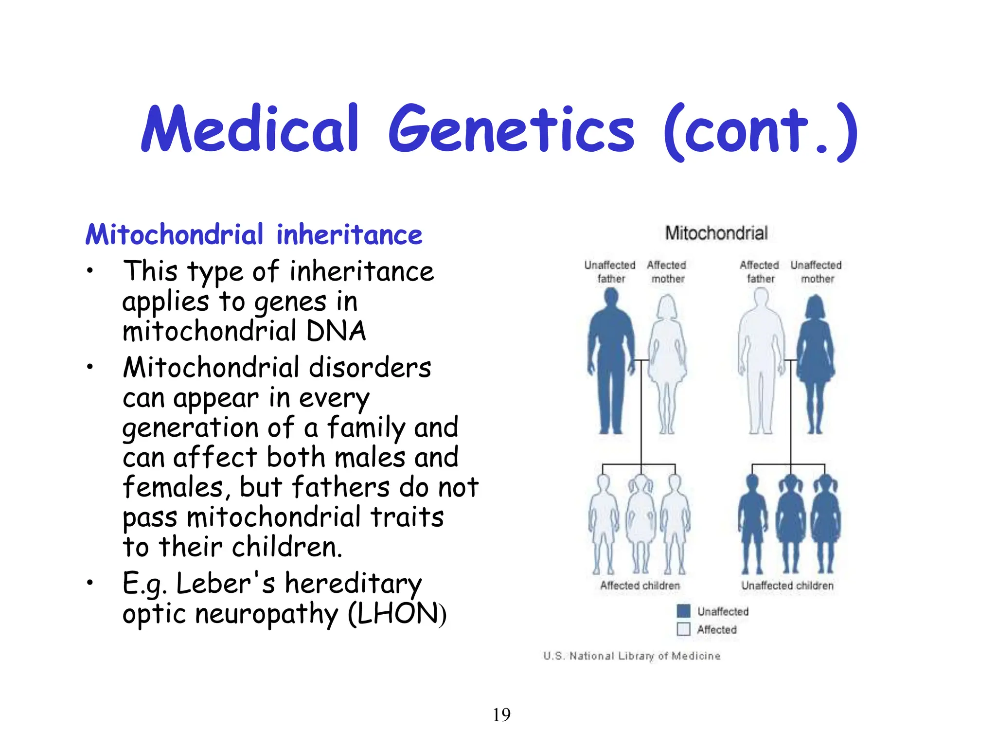 19
Medical Genetics (cont.)
Mitochondrial inheritance
• This type of inheritance
applies to genes in
mitochondrial DNA
• Mitochondrial disorders
can appear in every
generation of a family and
can affect both males and
females, but fathers do not
pass mitochondrial traits
to their children.
• E.g. Leber's hereditary
optic neuropathy (LHON)
 