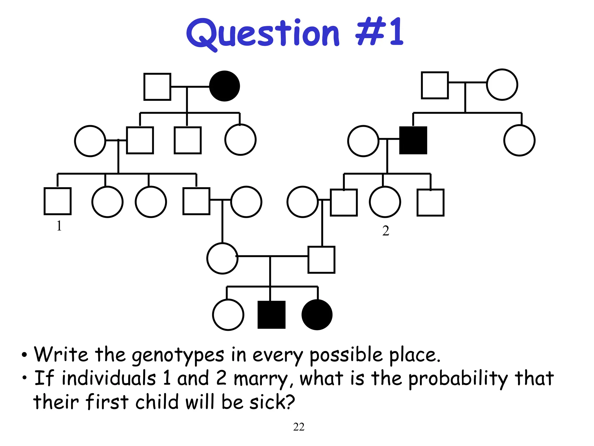 22
Question #1
1 2
• Write the genotypes in every possible place.
• If individuals 1 and 2 marry, what is the probability that
their first child will be sick?
 