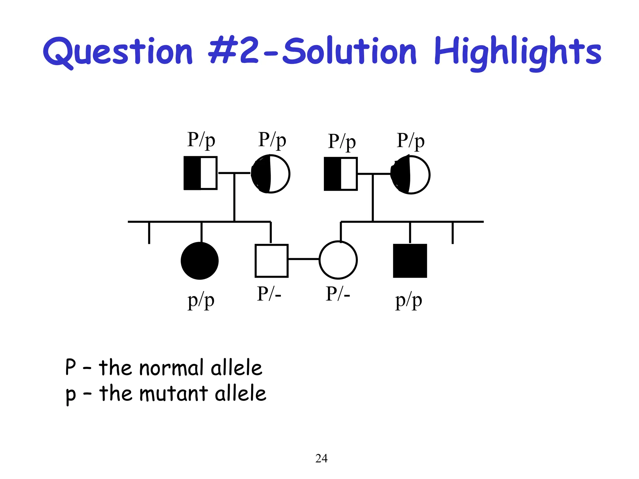 24
Question #2-Solution Highlights
P/p P/p P/p P/p
p/p p/p
P/- P/-
P – the normal allele
p – the mutant allele
 