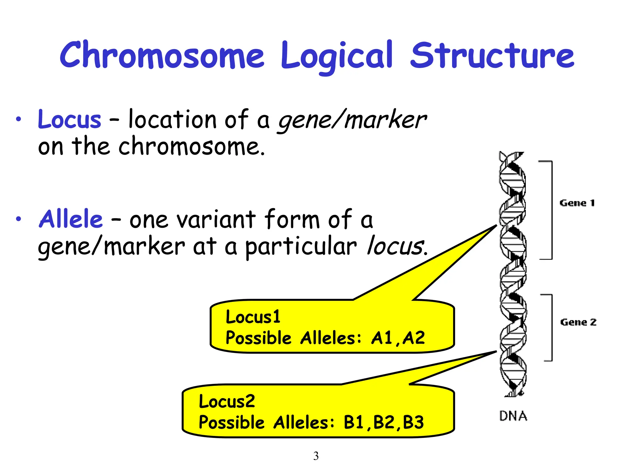 Locus In Biology BASIC CONCEPTS IN GENETICS BASIC CONCEPTS IN GENETICS.ppt