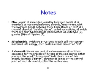 20
Notes
• DNA - a pair of molecules joined by hydrogen bonds: it is
organized as two complementary strands, head-to-toe, with
the hydrogen bonds between them. Each strand of DNA is a
chain of chemical "building blocks", called nucleotides, of which
there are four types:adenide (abbreviated A), cytozyne (C),
guanine (G) and thymine (T).
• Mitochondria, which are structures in each cell that convert
molecules into energy, each contain a small amount of DNA.
• A chromatid forms one part of a chromosome after it has
coalesced for the process of mitosis or meiosis. During either
process, the word "chromosome" indicates a pair of two
exactly identical ("sister") chromatids joined at the central
point of each chromatid, called the centromere.
 