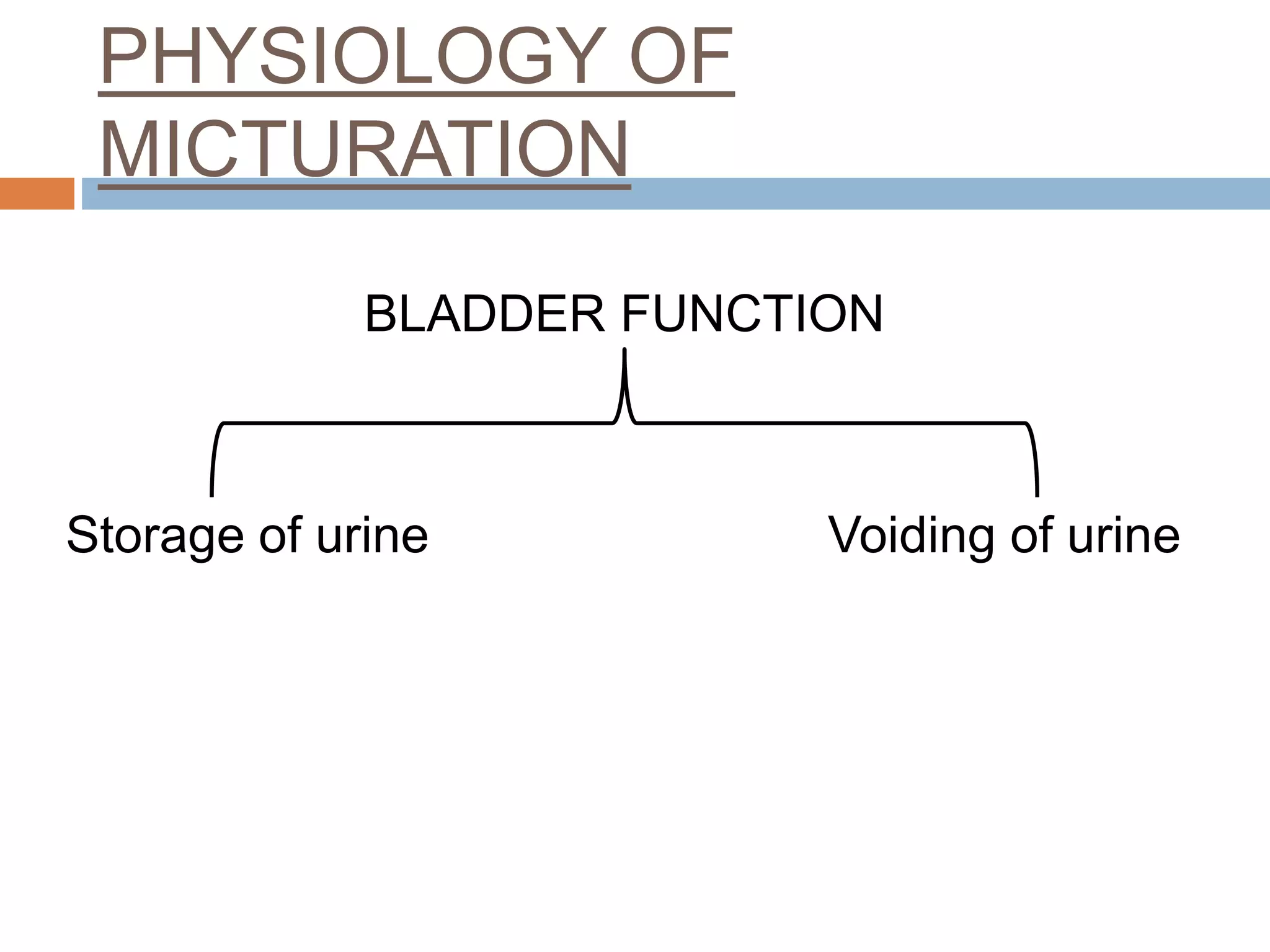 PHYSIOLOGY OF
MICTURATION
BLADDER FUNCTION
Storage of urine Voiding of urine
 