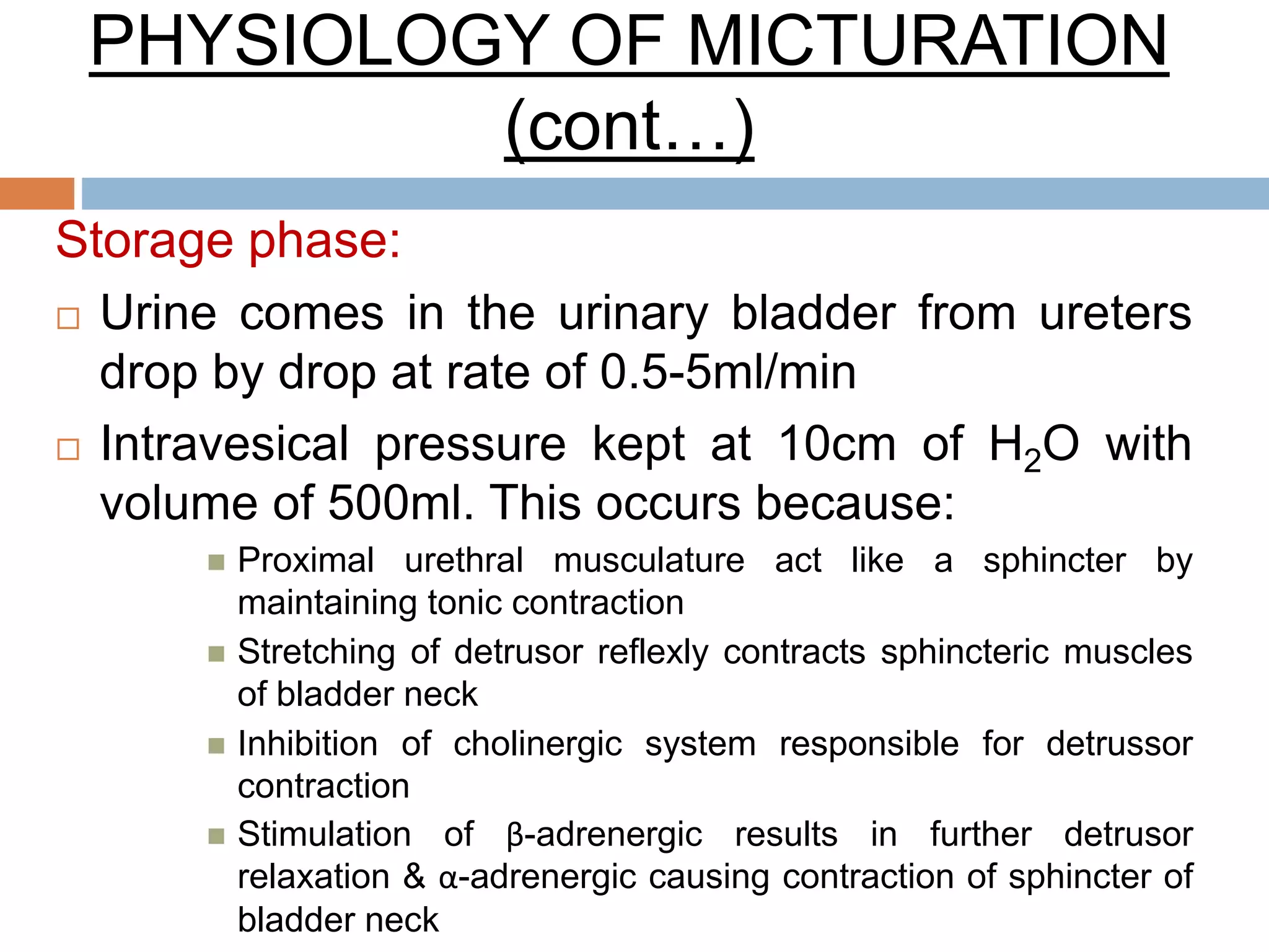 PHYSIOLOGY OF MICTURATION
(cont…)
Storage phase:
 Urine comes in the urinary bladder from ureters
drop by drop at rate of 0.5-5ml/min
 Intravesical pressure kept at 10cm of H2O with
volume of 500ml. This occurs because:
 Proximal urethral musculature act like a sphincter by
maintaining tonic contraction
 Stretching of detrusor reflexly contracts sphincteric muscles
of bladder neck
 Inhibition of cholinergic system responsible for detrussor
contraction
 Stimulation of β-adrenergic results in further detrusor
relaxation & α-adrenergic causing contraction of sphincter of
bladder neck
 
