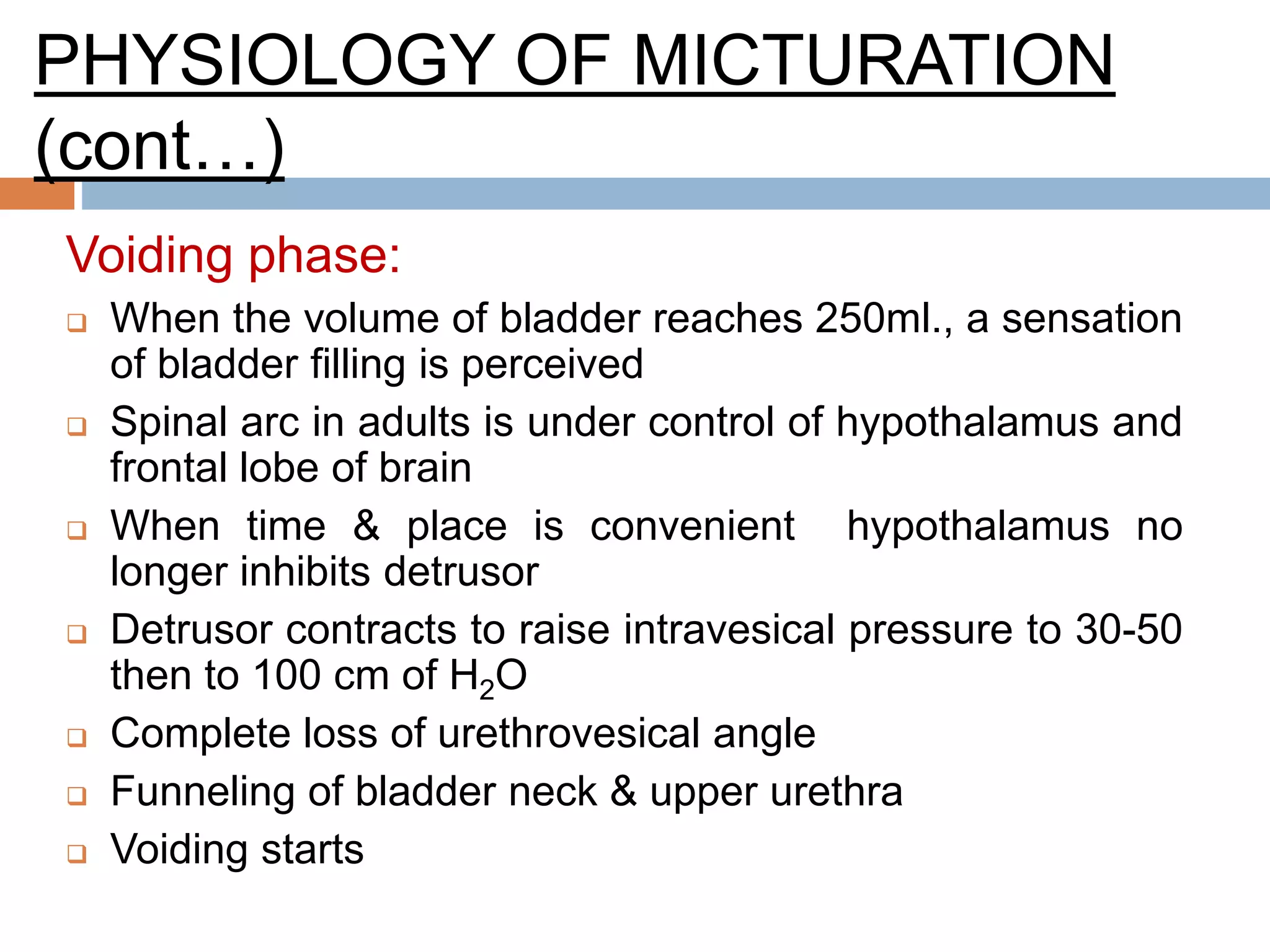 PHYSIOLOGY OF MICTURATION
(cont…)
Voiding phase:
 When the volume of bladder reaches 250ml., a sensation
of bladder filling is perceived
 Spinal arc in adults is under control of hypothalamus and
frontal lobe of brain
 When time & place is convenient hypothalamus no
longer inhibits detrusor
 Detrusor contracts to raise intravesical pressure to 30-50
then to 100 cm of H2O
 Complete loss of urethrovesical angle
 Funneling of bladder neck & upper urethra
 Voiding starts
 