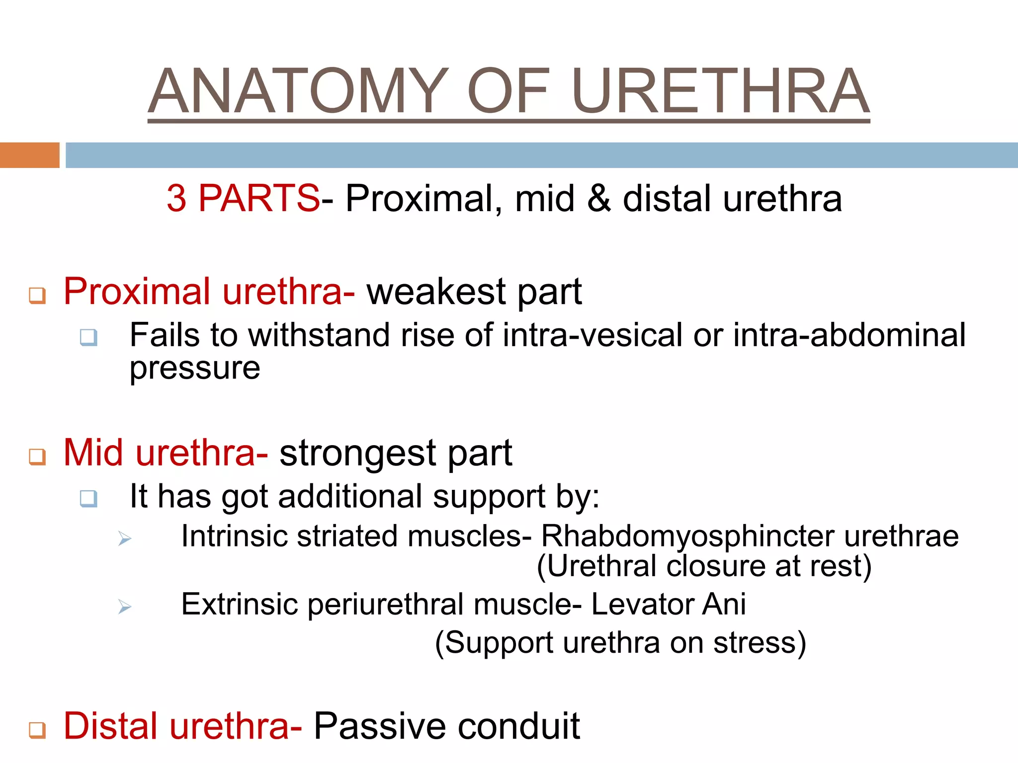 ANATOMY OF URETHRA
3 PARTS- Proximal, mid & distal urethra
 Proximal urethra- weakest part
 Fails to withstand rise of intra-vesical or intra-abdominal
pressure
 Mid urethra- strongest part
 It has got additional support by:
 Intrinsic striated muscles- Rhabdomyosphincter urethrae
(Urethral closure at rest)
 Extrinsic periurethral muscle- Levator Ani
(Support urethra on stress)
 Distal urethra- Passive conduit
 
