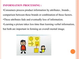 INFORMATION PROCESSING :
•Consumers process product information by attributes , brands ,
comparison between these brands or combination of these factors.
•These attributes fade and eventually loss of information.
•Learning a picture takes less time than learning verbal information,
but both are important in forming an overall mental image.
 