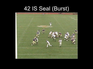 42 IS Seal (Burst) 