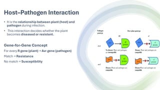 Comprehensive Overview of Basic Concepts in Plant Pathology and Disease ...