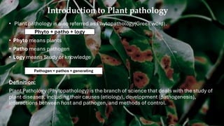 Comprehensive Overview of Basic Concepts in Plant Pathology and Disease ...