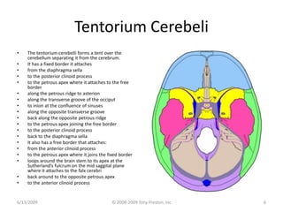 Basic Craniosacral Anatomy Small | PPTX