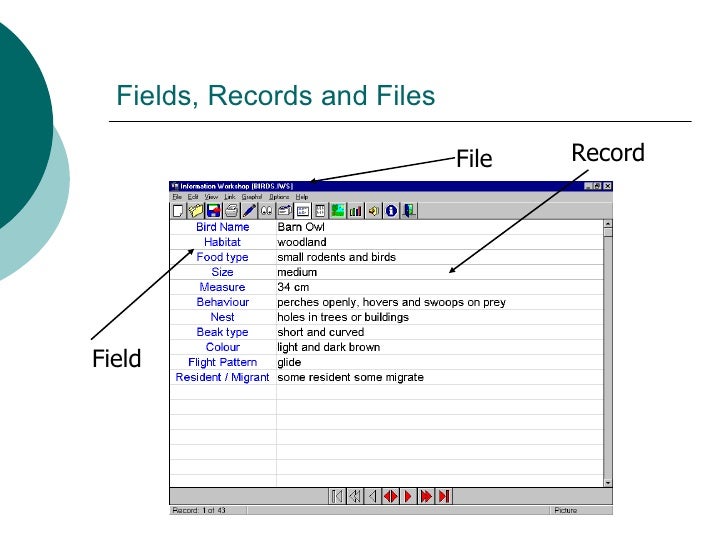 Basic Data Handling