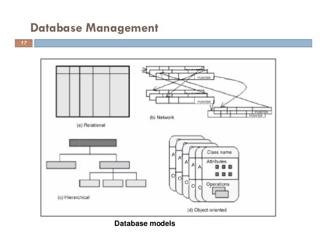 basic data types and operations basic data types and operations