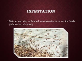 Infested Body Basic Definitions and Terminology in community Medicine.pptx