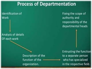 Basic departmentalization, line and staff concept | PPTX