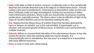 Collarette Scale Rash Basic Dermatology for the youth free & useful | PPTX