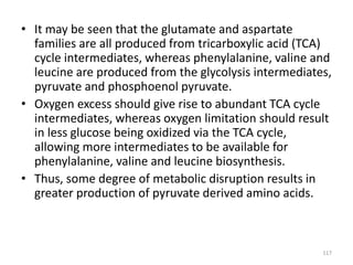 • It may be seen that the glutamate and aspartate
families are all produced from tricarboxylic acid (TCA)
cycle intermediates, whereas phenylalanine, valine and
leucine are produced from the glycolysis intermediates,
pyruvate and phosphoenol pyruvate.
• Oxygen excess should give rise to abundant TCA cycle
intermediates, whereas oxygen limitation should result
in less glucose being oxidized via the TCA cycle,
allowing more intermediates to be available for
phenylalanine, valine and leucine biosynthesis.
• Thus, some degree of metabolic disruption results in
greater production of pyruvate derived amino acids.
117
 