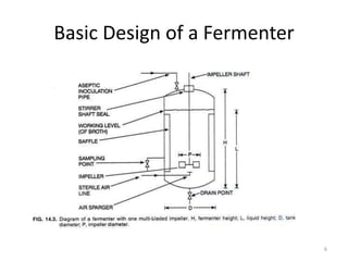 Basic Design of a Fermenter
6
 