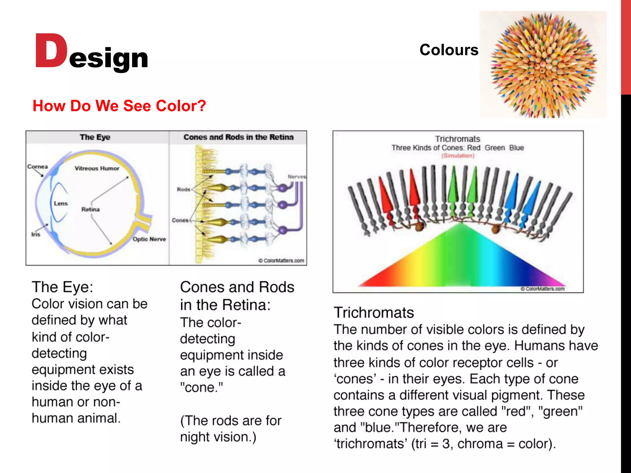 Design Colours
How Do We See Color?
How Do We See Color?
 