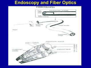 Endoscopy and Fiber Optics
 
