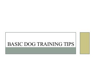 BASIC DOG TRAINING TIPS
 