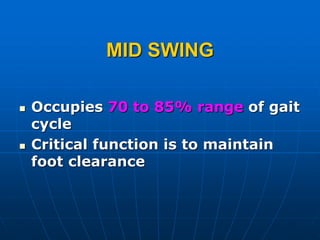 MID SWING
 Occupies 70 to 85% range of gait
cycle
 Critical function is to maintain
foot clearance
 