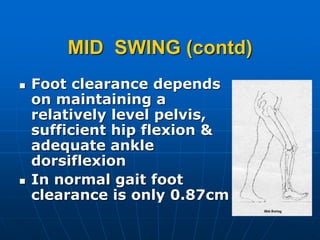 MID SWING (contd)
 Foot clearance depends
on maintaining a
relatively level pelvis,
sufficient hip flexion &
adequate ankle
dorsiflexion
 In normal gait foot
clearance is only 0.87cm
 