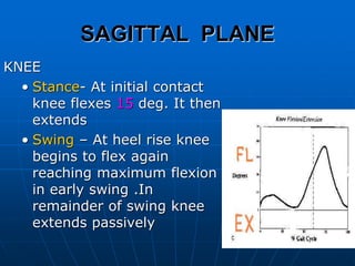 SAGITTAL PLANE
KNEE
• Stance- At initial contact
knee flexes 15 deg. It then
extends
• Swing – At heel rise knee
begins to flex again
reaching maximum flexion
in early swing .In
remainder of swing knee
extends passively
 