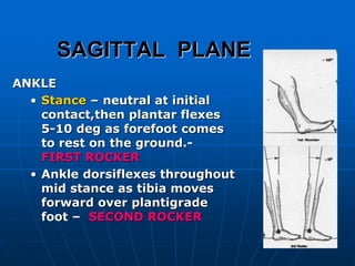 SAGITTAL PLANE
ANKLE
• Stance – neutral at initial
contact,then plantar flexes
5-10 deg as forefoot comes
to rest on the ground.-
FIRST ROCKER
• Ankle dorsiflexes throughout
mid stance as tibia moves
forward over plantigrade
foot – SECOND ROCKER
 