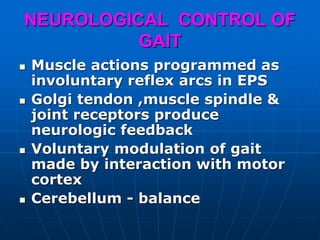 NEUROLOGICAL CONTROL OF
GAIT
 Muscle actions programmed as
involuntary reflex arcs in EPS
 Golgi tendon ,muscle spindle &
joint receptors produce
neurologic feedback
 Voluntary modulation of gait
made by interaction with motor
cortex
 Cerebellum - balance
 