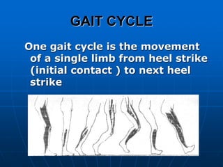 GAIT CYCLE
One gait cycle is the movement
of a single limb from heel strike
(initial contact ) to next heel
strike
 