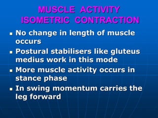 MUSCLE ACTIVITY
ISOMETRIC CONTRACTION
 No change in length of muscle
occurs
 Postural stabilisers like gluteus
medius work in this mode
 More muscle activity occurs in
stance phase
 In swing momentum carries the
leg forward
 