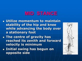 MID STANCE
 Utilize momentum to maintain
stability of the hip and knee
while advancing the body over
a stationary foot
 The centre of gravity has
reached its zenith and forward
velocity is minimum
 Initial swing has begun on
opposite side
 