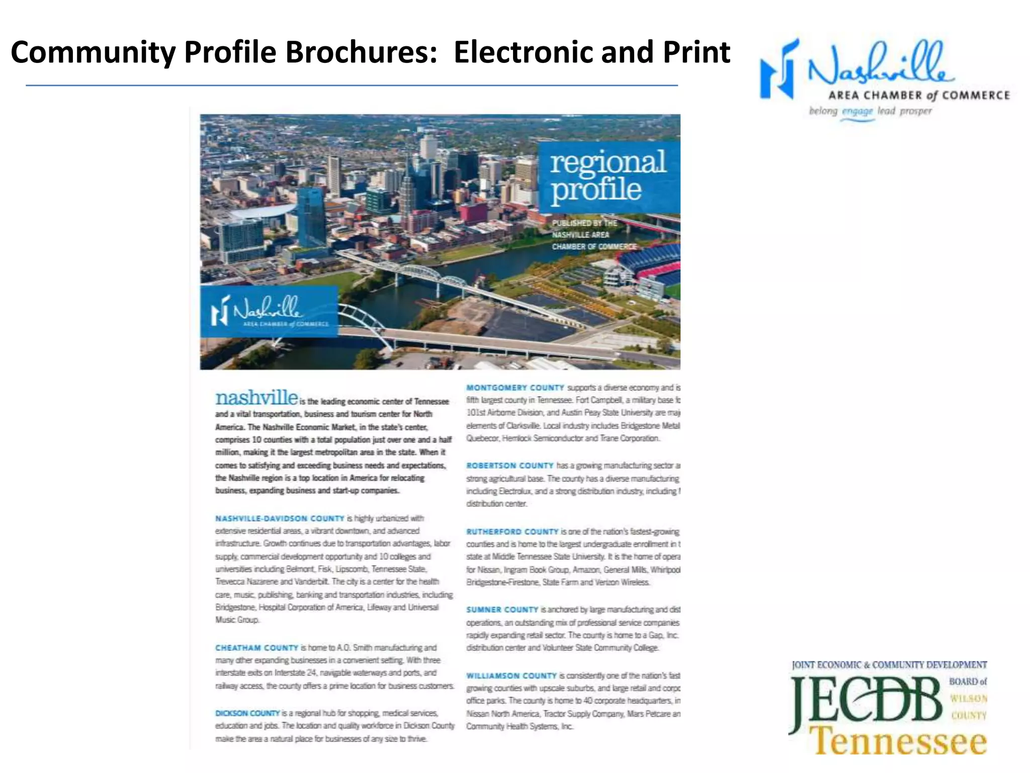 Community Profile Brochures: Electronic and Print
 