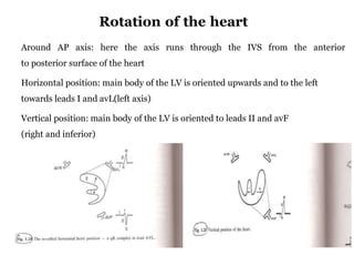 Basic ecg | PPTX