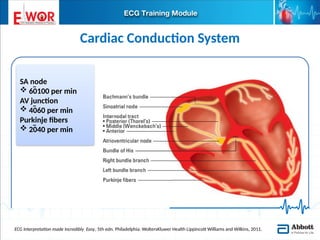 Basic ECG interpretation.pptx learn about ecg | PPTX