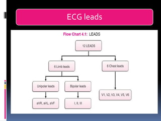 Basic ECG &rhythm interpretation | PDF