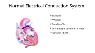Normal Electrical Pathways BASIC ECG WORKSHOP FOR NURSES AND MEDICAL ASSISTANT.pptx