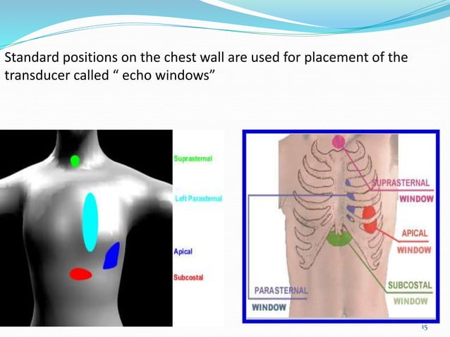 Basic echocardiography | PPTX