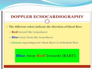 Basic echocardiography | PPTX