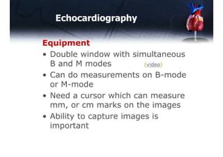 Basic Echocardiography | PDF